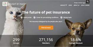 We have more than 14,000 5 star reviews so you know pet owners like you have seen what makes us different. Bought By Many Uses Digital Model To Launch Insurance Products For Members Insurance Innovation Reporter
