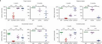 Raav Gene Therapy In A Canavan S Disease Mouse Model Reveals Immune Impairments And An Extended Pathology Beyond The Central Nervous System Molecular Therapy