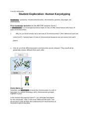 Get any needed writing assistance at a price that every average student can afford. Gizmo Docx Cassidy Andruszka Student Exploration Human Karyotyping Vocabulary Autosome Chromosomal Disorder Chromosome Genome Karyotype Sex Chromosome Course Hero