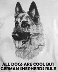 The German Shepherd German Shepherd Pictures German Shepherd Dogs German Shepherd