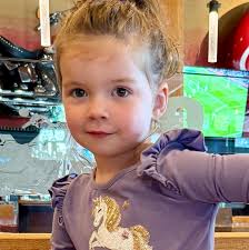 Octopuses form complex underwater communities