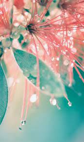 Looking for some teal and coral outfit ideas? Pin On Pink And Teal