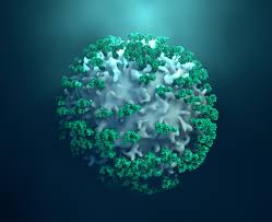 We did not find results for: Immuno Oncology How To Get The Immune System To Beat Cancer Royal Society