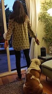 Check spelling or type a new query. Bark Sound Wikipedia