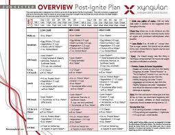 Post Ignite Low Carb Eating How To Plan Xyngular 8 Day Challenge