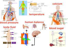 Control Systems Theory Control Theory Deals With The Basic Principles Underlying The Analysis And Design Of Control Systems To Control An Object Means To Influence Its Behavior So As To Achieve A Desired Goal In Order To Implement This Influence