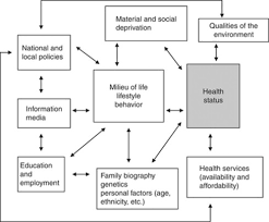 Determinants Of Health An Overview Sciencedirect Topics