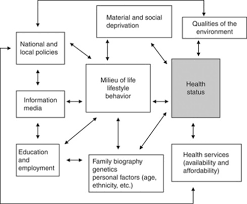Lecture notes of health education pdf. Determinants Of Health An Overview Sciencedirect Topics
