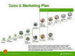 Herbalife Nutrition The Marketing Plan Is Beautiful Isn T It The Higher You Go The More People You Help The More Herbalife Business Marketing Plan Herbalife