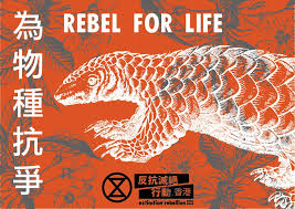 Адам дивайн, рэйчел блум, кен жонг и др. Extinction Rebellion Fonts In Use