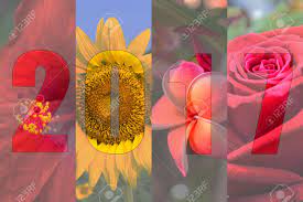 Beautiful flowers pictures amazing flowers pretty flowers wild flowers flower images flower pictures flower art hummingbird plants denver botanic gardens. Happy New Year 2017 In Flower Theme Naturally Beautiful Flowers Stock Photo Picture And Royalty Free Image Image 67896237