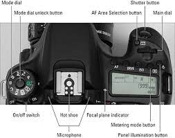 Canon Eos 70d For Dummies Cheat Sheet For Dummies Dslr Photography Tips Canon Camera Models Dslr Photography