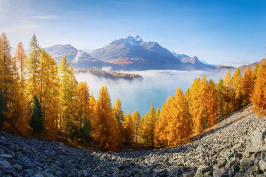 2,924,300+ Fall Landscape Stock Photos, Pictures & Royalty-Free Images -  iStock