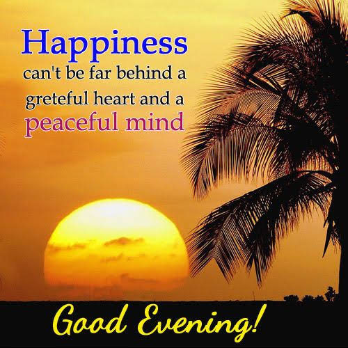 Image result for good evening"