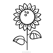 Some of the most beautiful coloring pages involve repeating the same motif throughout. Sunflower Coloring Page Ultra Coloring Pages