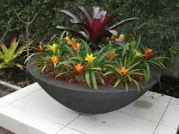 Large outdoor planters that come with an affordable price tag are also great for beginners. Potanico Large Garden Bowls And Fire Pits