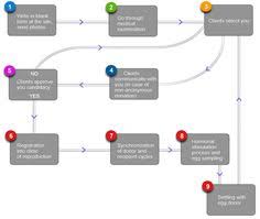 Egg donation or donor egg program. 18 Best Egg Donation Ideas Egg Donation Egg Donor Donor