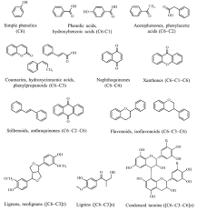 Cu privire la numirea domnului dumitru socolan, ambasador extraordinar şi plenipotenţiar al republicii moldova în republica portugheză, în funcţia de ambasador extraordinar şi plenipotenţiar al republicii şi integrării europene andrei galbur. Main Bioactive Phenolic Compounds In Marine Algae And Their Mechanisms Of Action Supporting Potential Health Benefits Sciencedirect
