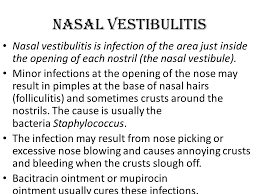 The symptoms of nasal vestibulitis do not improve after a few days of taking antibiotics. Disease Of External Nose Ppt Video Online Download
