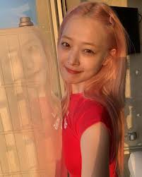 Sulli離世】是否世界太殘酷讓她選擇永遠退出了？