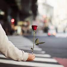 ﻫﻨﺎك أشياء نحبها ﻓﻲ ﺣﻴﺎﺗﻨﺎ ﻧﻀﻄﺮ ﻟﺘﺮﻛﻬﺎ ﻓﻘﻂ ﻟﺘﺒﻘﻰ ذكراها جميله في قلوبنا aesthetic iphone wallpaper my photos photo
