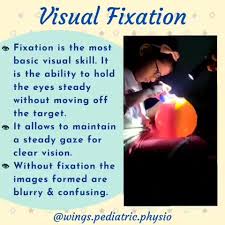 Image result for Visual Fixation