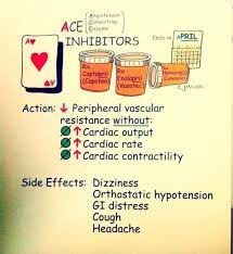 Pin On Pharmacology