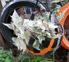 Motorcycle Helmet Repurposed To A Hanging Planter Hanging Planters Repurposed Projects To Try