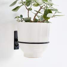 3 creating a vertical garden. Wall Planter Hook Reviews Crate And Barrel