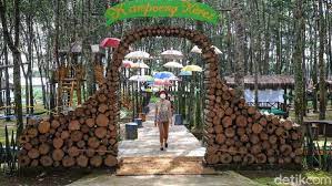 Penghitungan tarif sesuai dengan skema tarif perjalanan single trip. Usir Penat Di Agrowisata Kampung Karet Karanganyar