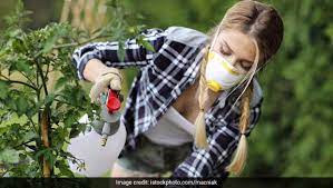 Learn vocabulary, terms and more with flashcards willie has established a fall vegetable garden from seed. 5 Natural Pesticides You Could Use To Grow Your Own Kitchen Garden Ndtv Food