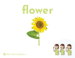 Maybe you would like to learn more about one of these? Flower