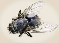 15 Richard Maxted ideas