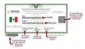 Ver Curp Aqui 2021 Paso A Paso Para Conseguir Tu Clave Unica De Registro En Internet Obten Tu Curp Hoy Coronavirus Registro En Mivacuna Salud Gob Mx Mx Estados