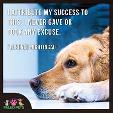 No Excuses Quotes Dogs Pets Paleopets Animal Rug Pets Cute Animals