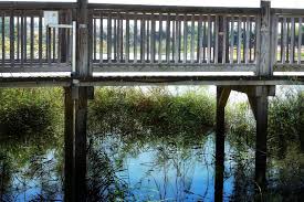 מתחם האגם, יס פלאנט, רחוב 120 מספר 4, ראשון לציון. ×œ×•×§×™×™×©×Ÿ ×œ×¦×™×œ×•×ž×™× ×ž×ª×—× Yes Planet ×œ×•×§×™×™×˜