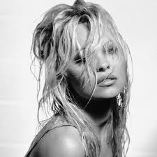 Anderson is best known for her roles on the television series home improvement, baywatch. Pamela Anderson On Twitter Goodbye Social Media Hallelulia Https T Co Q2h693rq3t