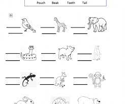 Check the links below to get more worksheets and learning videos for second grade. Animal Body Parts Grade 2 Worksheet