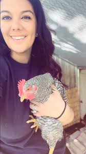 I have a beautiful barred rock roo that needs a new home. Pm if interested.  I'm in Harford county