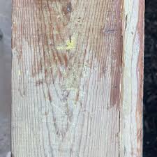 Teak Oil Vs Danish Oil: Which Is Better? | Teak Master