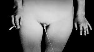 The genius of Araki…Spermanko. – Daniel D. Teoli Jr.