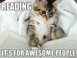 It just sums up the craziness of this year so perfectly. she believes that people will still mention 2020 occasionally in the future. Happy International Cat Day The Free Ebooks Net Blog