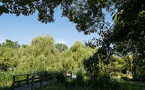 The bois de vincennes, paris's largest park, was originally fenced off as royal hunting grounds. Le Bois De Vincennes Reservoir De La Biodiversite Ville De Paris