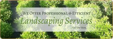 Blue Mount Nursery Full Service Nursery Garden Supplies And Landscaping In Loudoun County