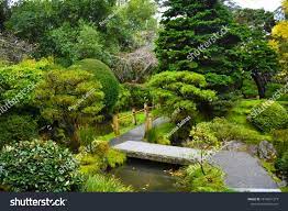 Green Natural Garden Natural Forest Ad Ad Natural Green Forest Garden Natural Garden Garden Bridge Stock Photos