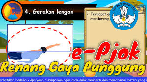 Materi ipa kelas 9 semester 2 k13 revisi 2017. Materi Renang Gaya Punggung Youtube