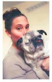 Happy Birthday to my 19 year old pug! Somehow still kicking!