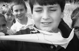 The Crosby Arboretum