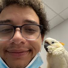 K-pop events and meetups in Virginia