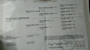 Image result for Vice White 2018 Fleet